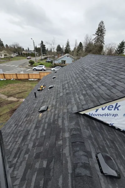 professional-roofing-near-bothel-late-february-q1-2026