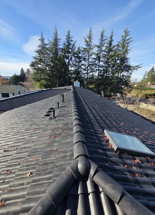 roof-installation-near-bothel-in-february-winter-2026